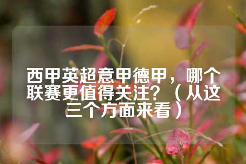 多彩的文化