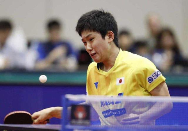 你做这个优 你做这个优